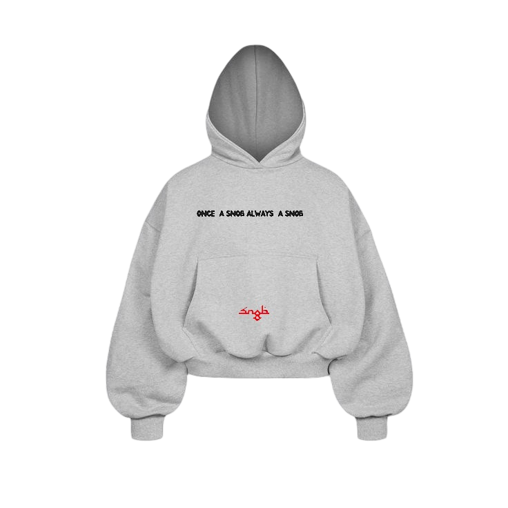 Pull snob (2ème collection) - Gris